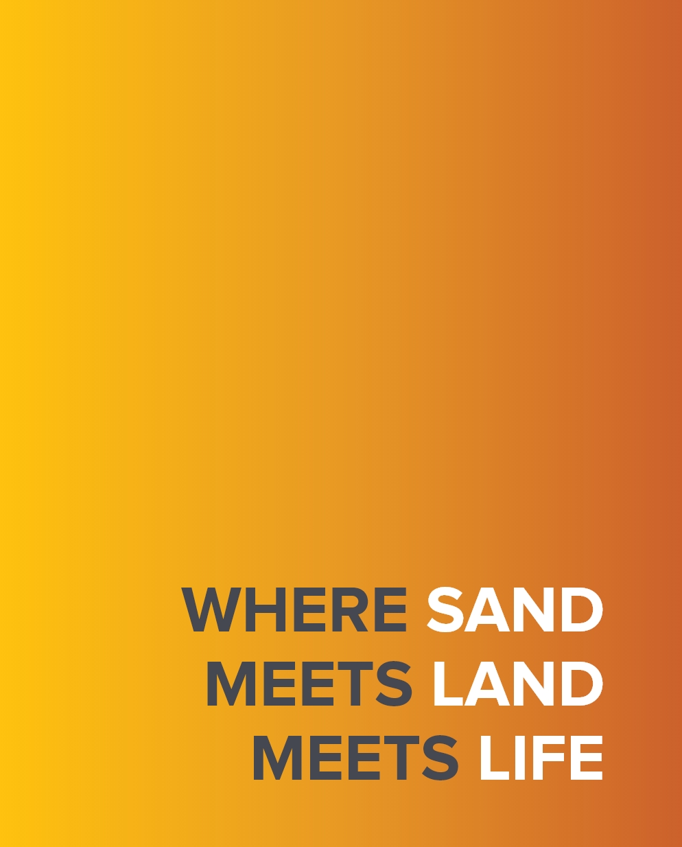 Where sand, meets land, meets life
